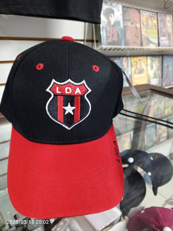 Gorra Adulto LDA v2