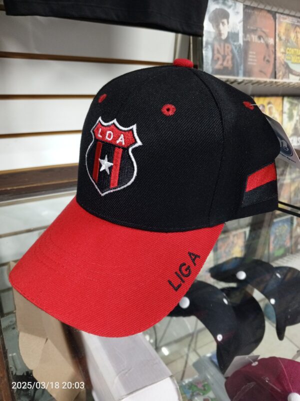 Gorra Adulto LDA v2 - Imagen 2